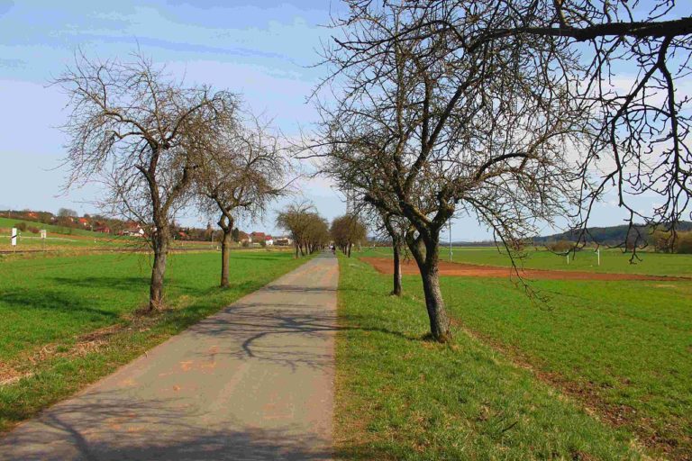 Popularne trasy rowerowe w Niemczech